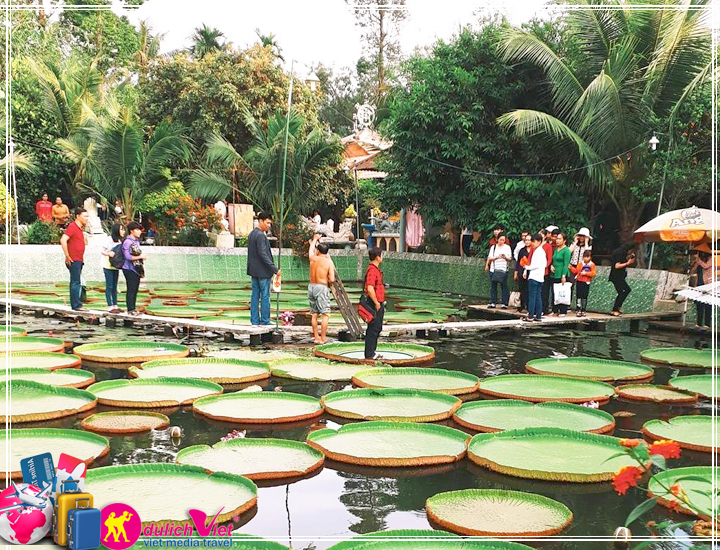 Tour du lịch Đồng Tháp - Làng Hoa Sa Đéc - Vườn Quýt Hồng Tết dương lịch 2025
